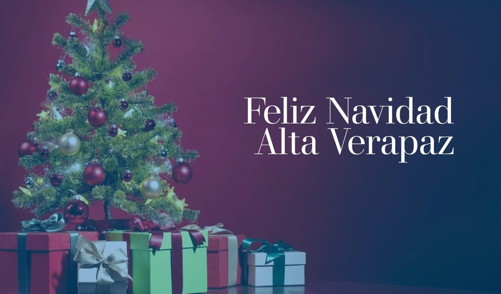 Les deseamos felices fiestas de Navidad